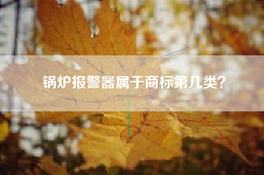 锅炉报警器属于商标第几类？