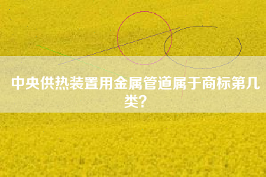 中央供热装置用金属管道属于商标第几类？