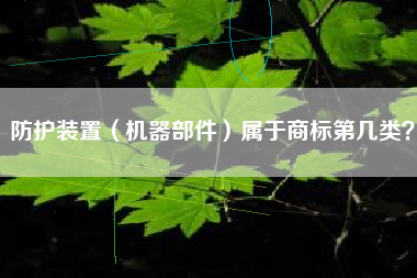 防护装置（机器部件）属于商标第几类？