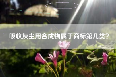 吸收灰尘用合成物属于商标第几类？