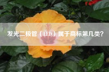 发光二极管（LED）属于商标第几类？
