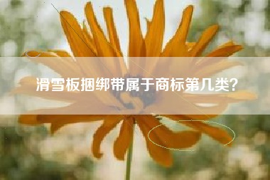 滑雪板捆绑带属于商标第几类？