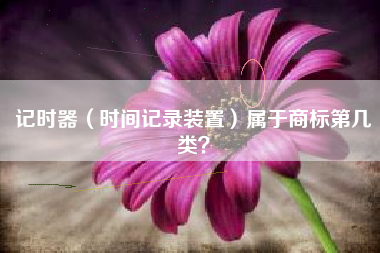 记时器（时间记录装置）属于商标第几类？