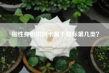磁性身份识别卡属于商标第几类？