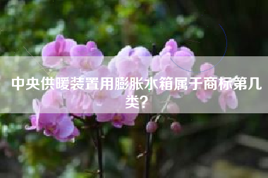 中央供暖装置用膨胀水箱属于商标第几类？