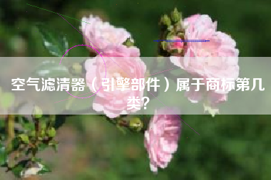 空气滤清器（引擎部件）属于商标第几类？