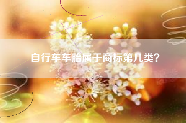 自行车车胎属于商标第几类？