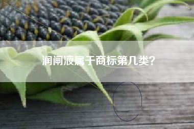 润闸液属于商标第几类？