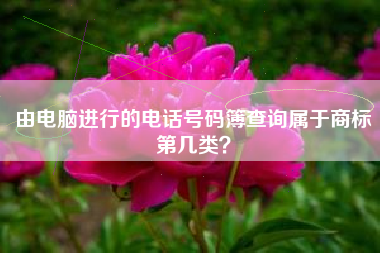 由电脑进行的电话号码簿查询属于商标第几类？