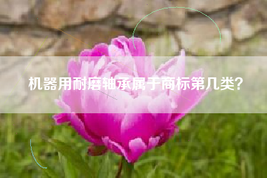 机器用耐磨轴承属于商标第几类？