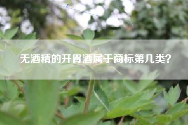 无酒精的开胃酒属于商标第几类？