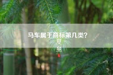 马车属于商标第几类？