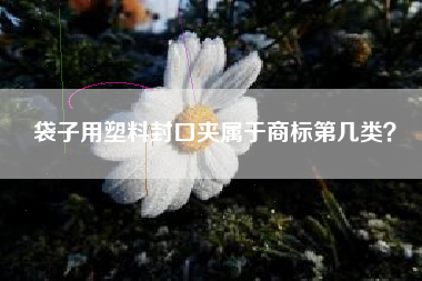 袋子用塑料封口夹属于商标第几类？