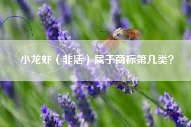 小龙虾（非活）属于商标第几类？