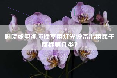剧院或电视演播室用灯光设备出租属于商标第几类？