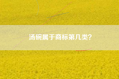 汤碗属于商标第几类？