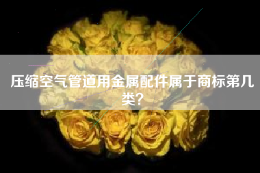 压缩空气管道用金属配件属于商标第几类？