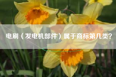 电刷（发电机部件）属于商标第几类？