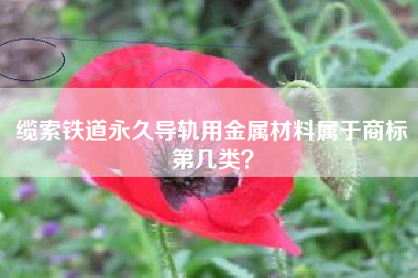 缆索铁道永久导轨用金属材料属于商标第几类？