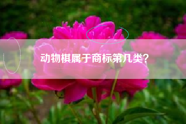 动物棋属于商标第几类？