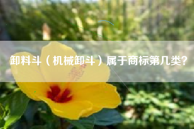 卸料斗（机械卸斗）属于商标第几类？