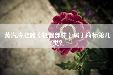 蒸汽冷凝器（机器部件）属于商标第几类？