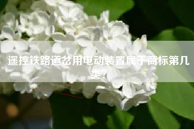 遥控铁路道岔用电动装置属于商标第几类？