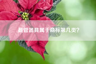 截管器具属于商标第几类？