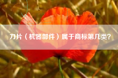 刀片（机器部件）属于商标第几类？