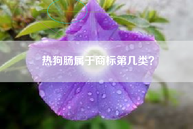 热狗肠属于商标第几类？