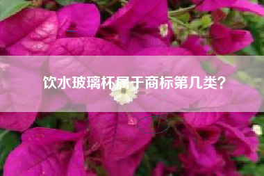 饮水玻璃杯属于商标第几类？