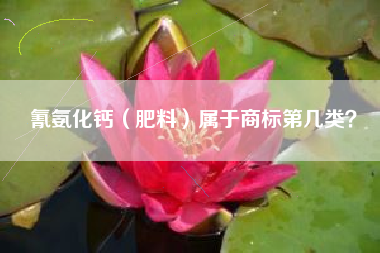 氰氨化钙（肥料）属于商标第几类？