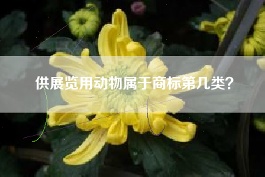 供展览用动物属于商标第几类？
