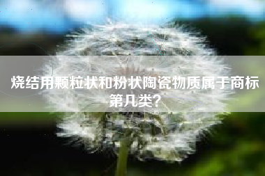 烧结用颗粒状和粉状陶瓷物质属于商标第几类？