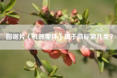 圆锯片（机器零件）属于商标第几类？