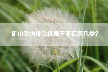 矿山杂物排除机属于商标第几类？