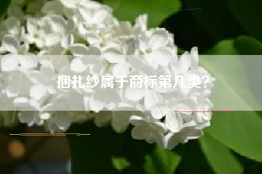 捆扎纱属于商标第几类？