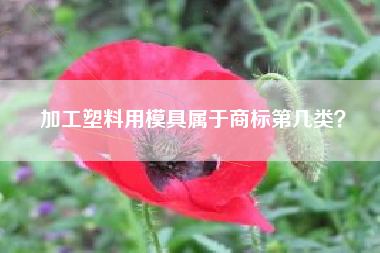 加工塑料用模具属于商标第几类？