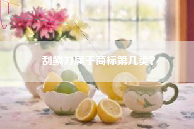 刮鳞刀属于商标第几类？
