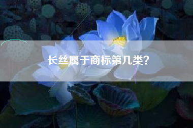 长丝属于商标第几类？