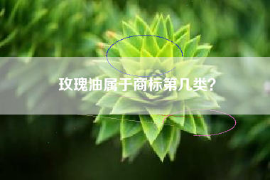 玫瑰油属于商标第几类？
