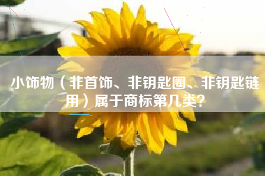 小饰物（非首饰、非钥匙圈、非钥匙链用）属于商标第几类？