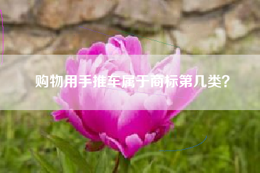 购物用手推车属于商标第几类？