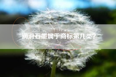 润滑石墨属于商标第几类？