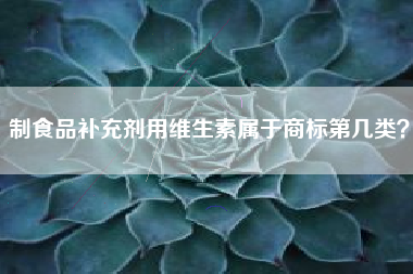 制食品补充剂用维生素属于商标第几类？