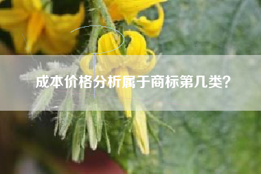 成本价格分析属于商标第几类？