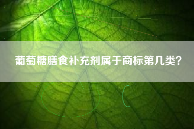 葡萄糖膳食补充剂属于商标第几类？