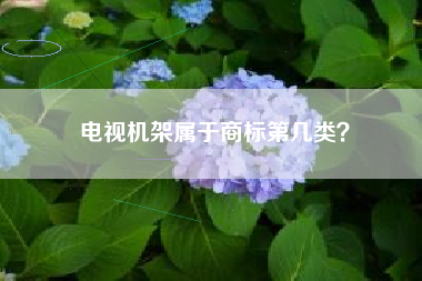 电视机架属于商标第几类？