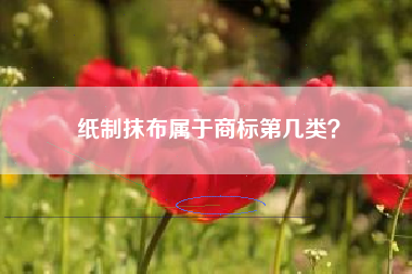 纸制抹布属于商标第几类？