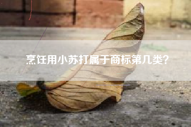 烹饪用小苏打属于商标第几类？